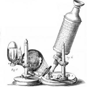 Teoría Celular