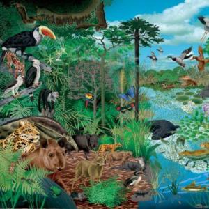Ecosistema, Biología
