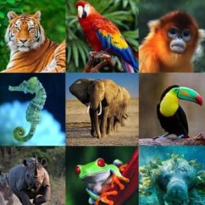 Características de los seres vivos