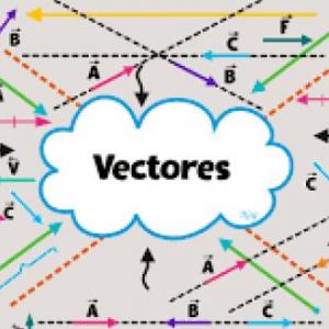 tipos de vectores 