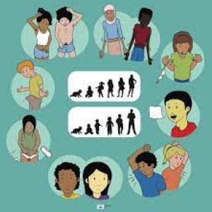 sistema del cuerpo humano y salud