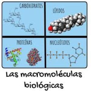 Tarea 4. Composición Química