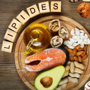 Lipidos