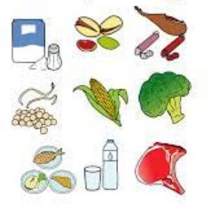 Somos ricos y nutritivos
