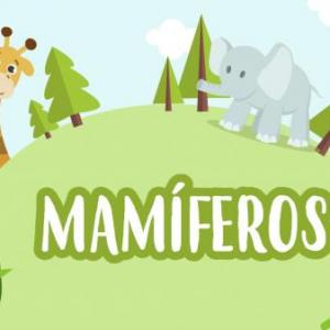Animales Mamíferos