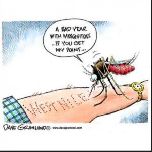 Virus del Nilo Occidental