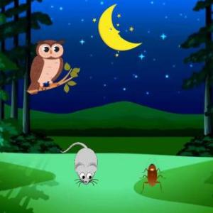 Imagen de portada del videojuego educativo: Animales Diurnos y Nocturnos. , de la temática Medio ambiente