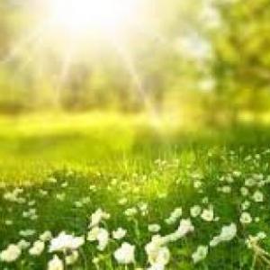 Cuidado del medio ambiente
