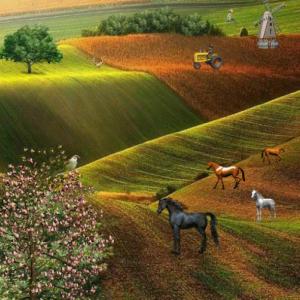 MEMORIA DE LOS ANIMALES DE LA GRANJA