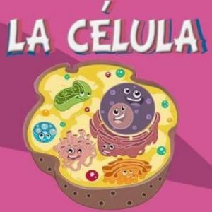Prueba tu memoria de Células