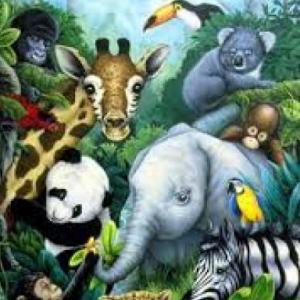 animales sorprendentes de nuestra región