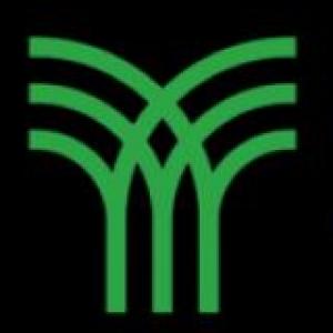 Proyección Profesional