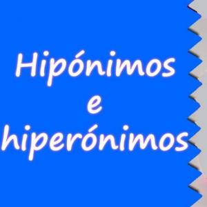 Imagen de portada del videojuego educativo: HIPÓNIMOS- HIPERÓNIMOS, de la temática Lengua