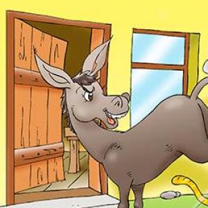 ¿DE QUÉ ANIMAL SE TRATA?