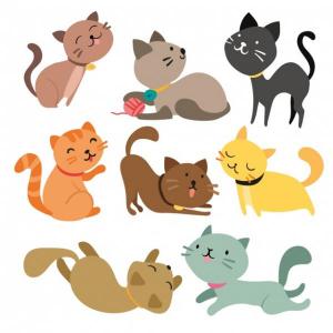 Números y gatitos 