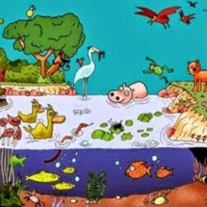 Imagen de portada del videojuego educativo: El hábitat de los animales., de la temática Ciencias