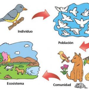 Biología: Factores bióticos de los ecosistemas. - seres vivos, ecosistema,  factores bióticos.