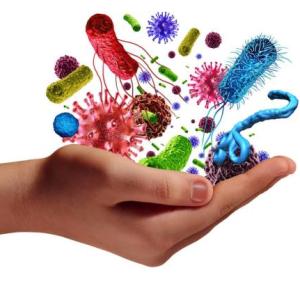 Microbiota y métodos de esterilización