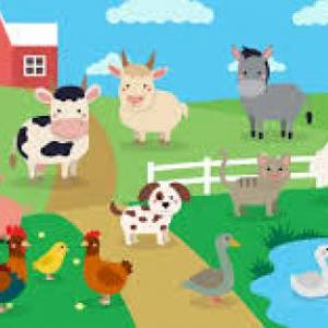 animales