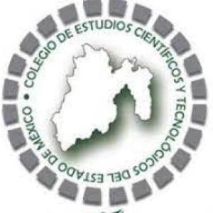 Reactivación de conocimientos 