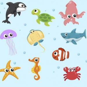 animales marinos