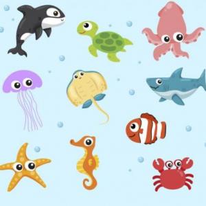 memorama animales marinos