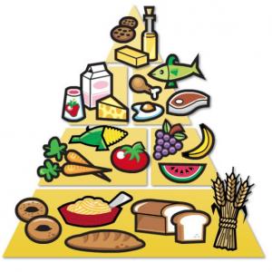 Imagen de portada del videojuego educativo: Descubre cual es el origen de los alimentos, de la temática Alimentación