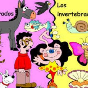 trivia de ci nat