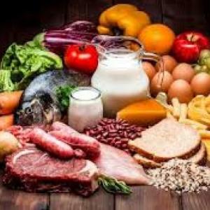 LOS ALIMENTOS