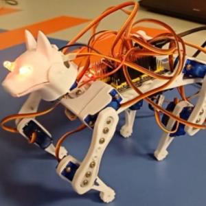 PROYECTO ASTRODOG