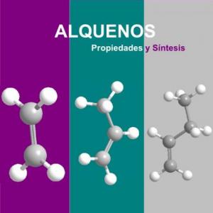 Proyecto