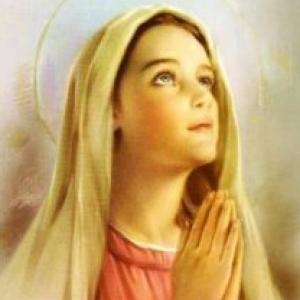 Descubre a los amigos de Jesús