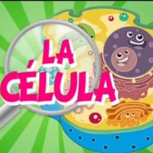 ADIVINA LAS PARTES DE LA CELULA