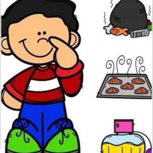 ¿COMO HUELE LO QUE VEMOS EN LAS IMAGENES?