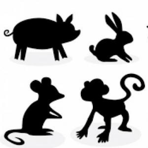¿QUE ANIMAL SOY?