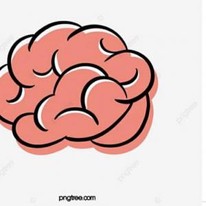 Sustantivos propios y comunes