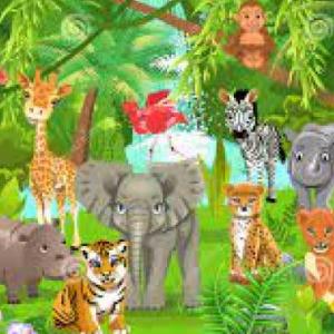 SELVA 1