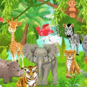 MEMOTEST, ANIMALES DE LA SELVA