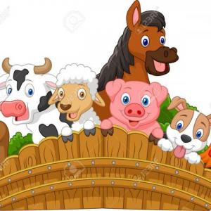 Descubre los animales.