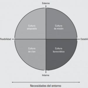 CULTURA DE MISION.