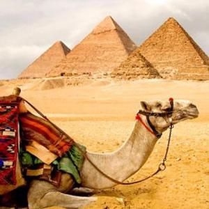 Trivia sobre Egipto.