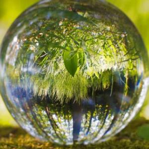 Ahorcado Politica Ambiental