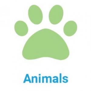 ANIMALS HANGMAN