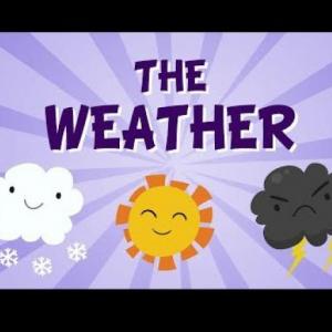 THE WEATHER