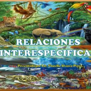 Imagen de portada del videojuego educativo: RELACIONES INTERESPECIFICAS, de la temática Biología