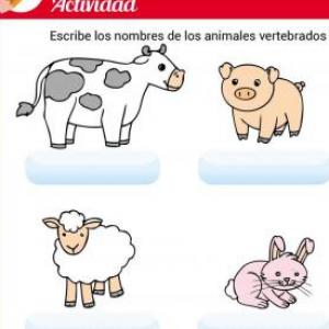 animales vertebrados