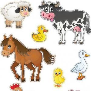 ANIMALES DOMÉSTICOS
