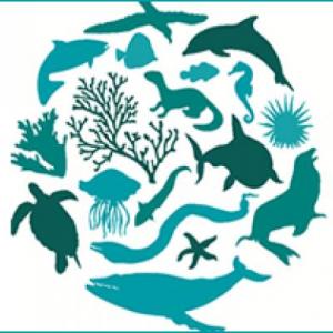 Patrones y tipos de biodiversidad