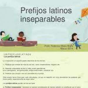 Palabras con los prefijos inseparables latinos