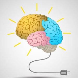cerebros brillantes y responsables